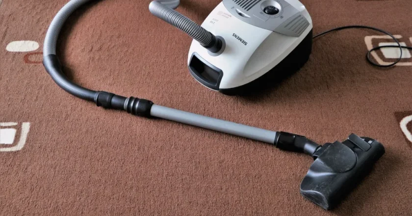 3 Professional Carpet Cleaning Services That You Can Trust