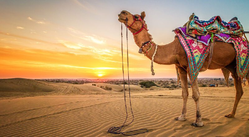 What to do in Rajasthan during Group Tour