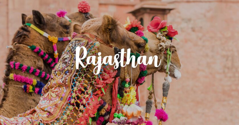 Reasons to Choose Pre-planned Rajasthan Tour Packages