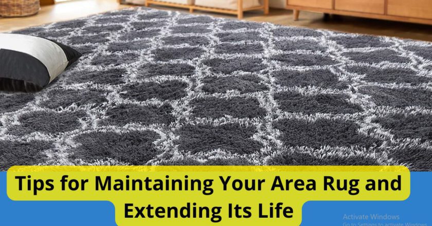Tips for Maintaining Your Area Rug and Extending Its Life