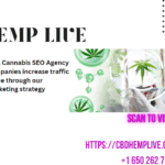 Highly Effective Cannabis and Marijuana SEO Strategies for Your Business Growth