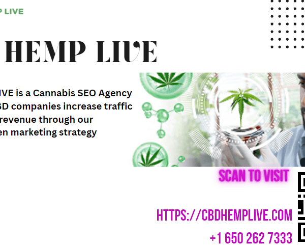 Highly Effective Cannabis and Marijuana SEO Strategies for Your Business Growth
